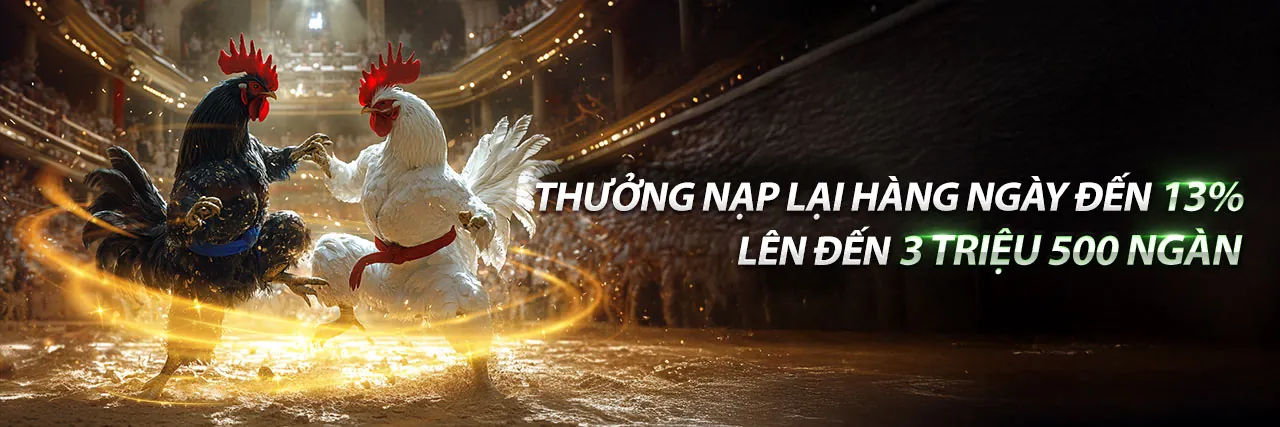 Tải Ứng Dụng FV99 Trang Chủ Chính Thức 2026